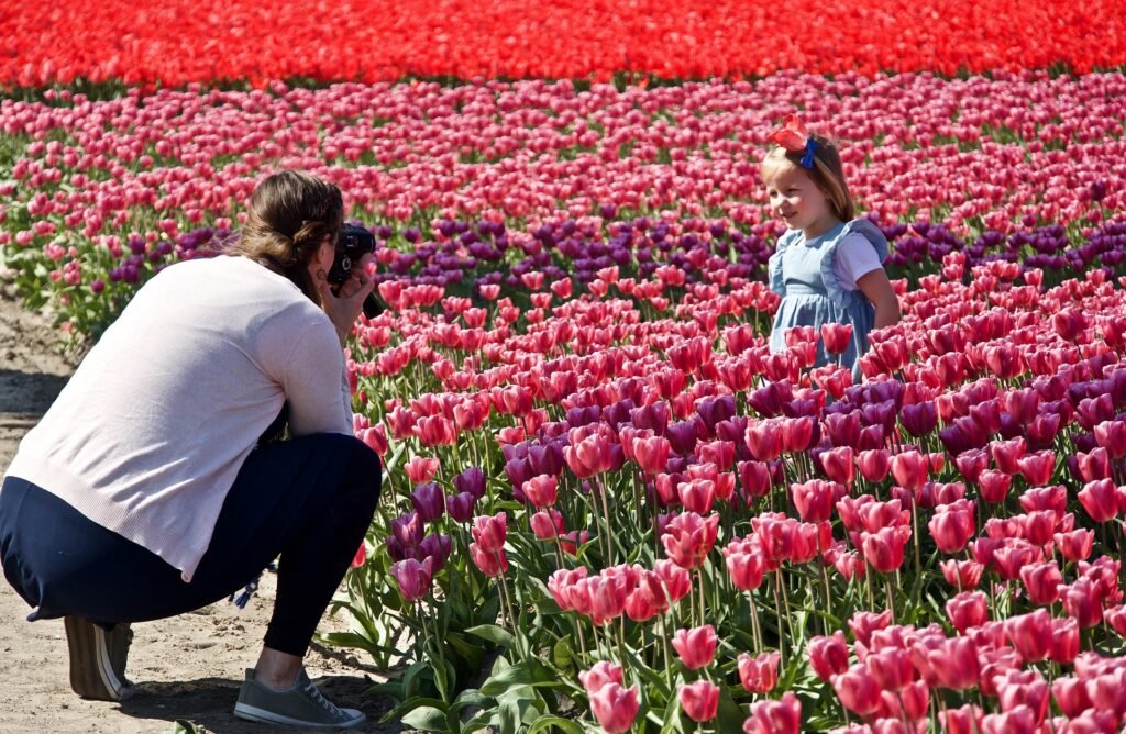 Travel : Discover the Joy of Exploring the World memorycatcher photo 5017147 1920